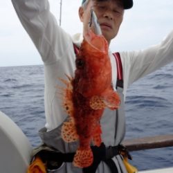 鯛紅丸 釣果
