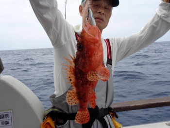鯛紅丸 釣果