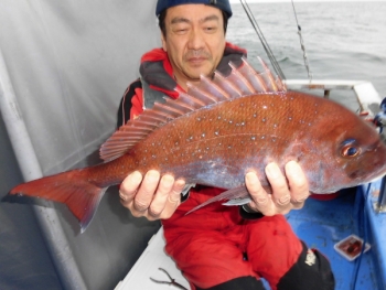 鯛紅丸 釣果