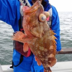 鯛紅丸 釣果