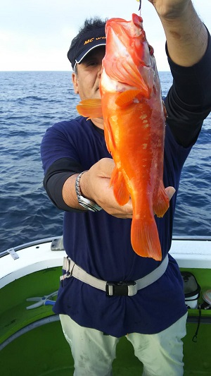 松栄丸 釣果