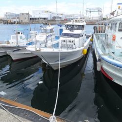 Hit Rush(ヒット ラッシュ） 釣果