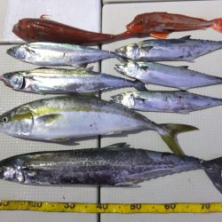 Hit Rush(ヒット ラッシュ) 釣果