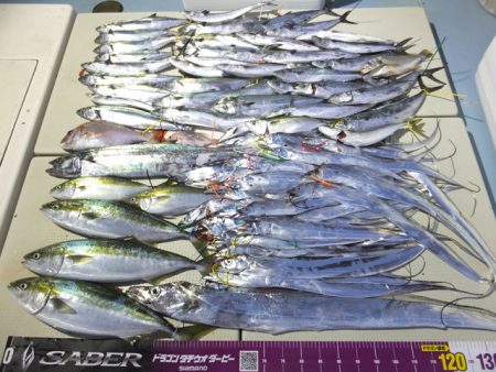 Hit Rush(ヒット ラッシュ） 釣果