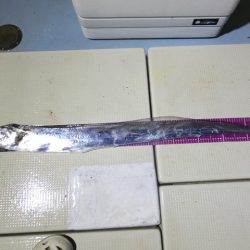 Hit Rush(ヒット ラッシュ） 釣果