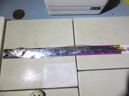 Hit Rush(ヒット ラッシュ） 釣果