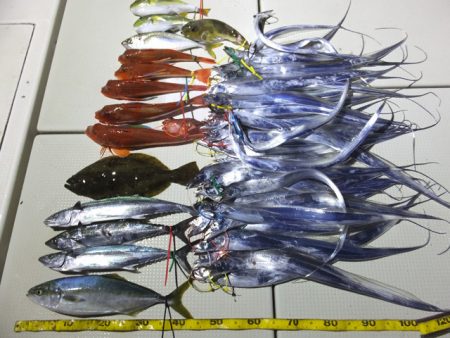 Hit Rush(ヒット ラッシュ） 釣果…