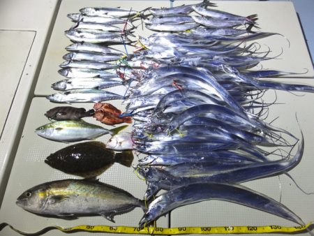 Hit Rush(ヒット ラッシュ） 釣果…