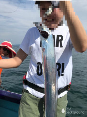 釣船 浦島太郎 釣果