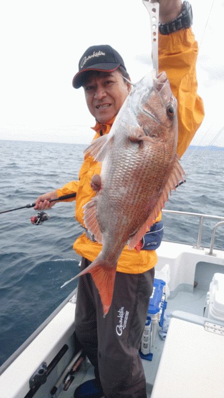 遊漁船ブルーウッズ 釣果