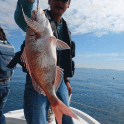 遊漁船ブルーウッズ 釣果
