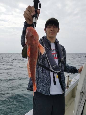 遊漁船　ニライカナイ 釣果