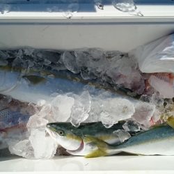 大進丸(新潟) 釣果