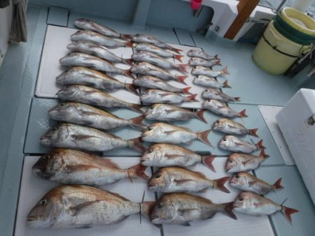 遊漁船 幸友丸 釣果