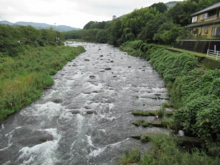 狩野川(狩野川漁業協同組合) 釣果