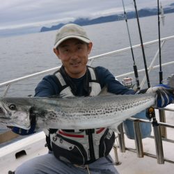 ジギング船 BLUEWATER 釣果