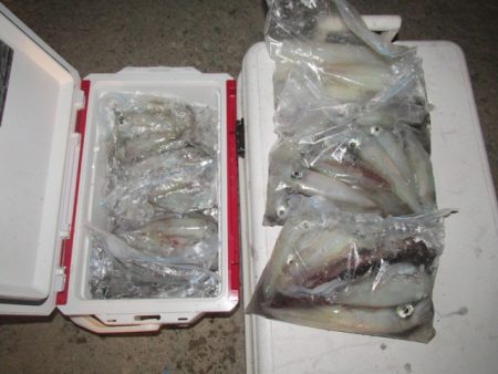 ジギング船 BLUEWATER 釣果