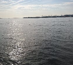 気付いたら３種目