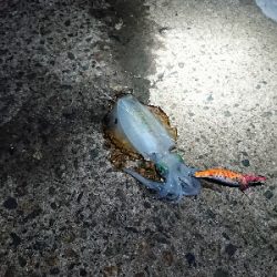 旅行合間釣行！！