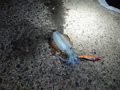 旅行合間釣行！！