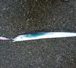 ポートアイランド