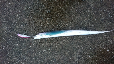 ポートアイランド