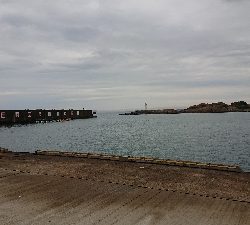 気がついたら釣れてたw