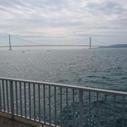 サゴシ、太刀魚