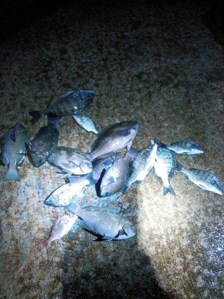 悪天候でも釣りに行ってきました。