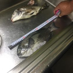 悪天候でも釣りに行ってきました。