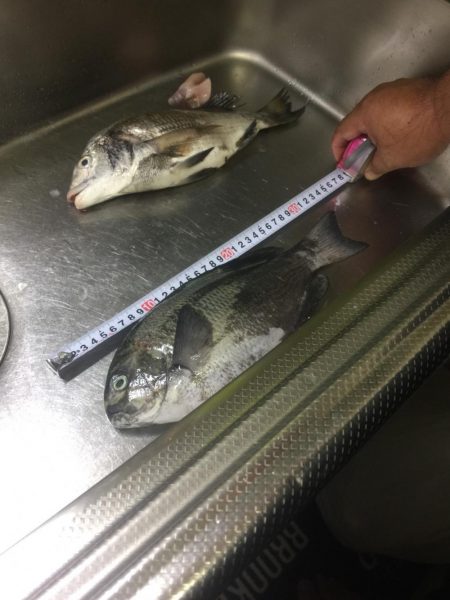 悪天候でも釣りに行ってきました。