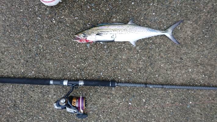 ポートアイランド