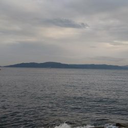 藤江海岸でツバス