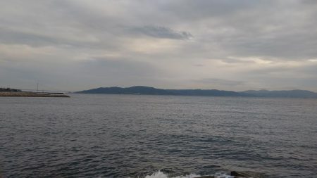 藤江海岸でツバス