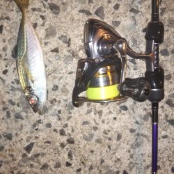 アジング遠征!!3Hショートゲーム