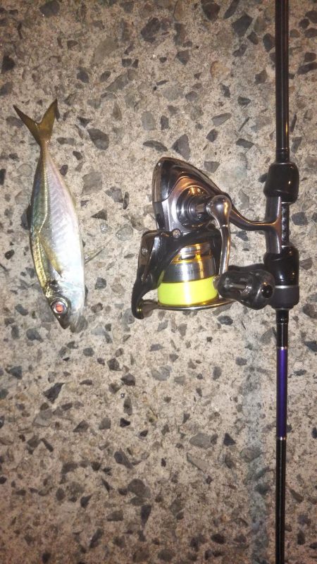 アジング遠征!!3Hショートゲーム