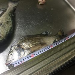 悪天候でも釣りに行ってきました。