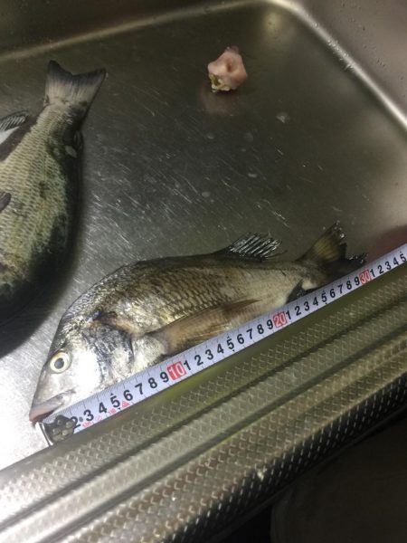 悪天候でも釣りに行ってきました。