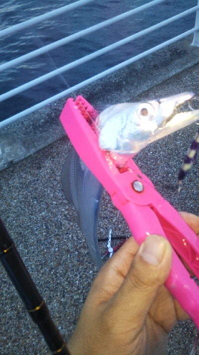 ファミリーフィッシング