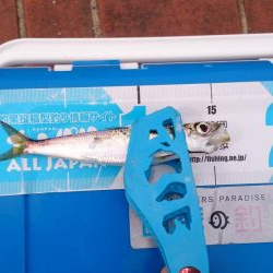 まったりサビキ