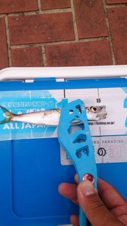 まったりサビキ