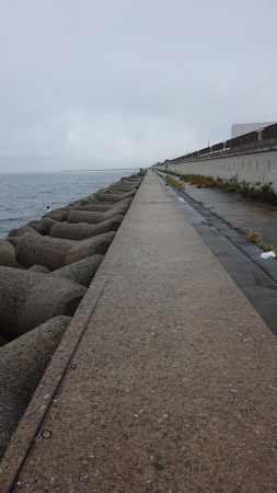 いいサイズが上がってよき