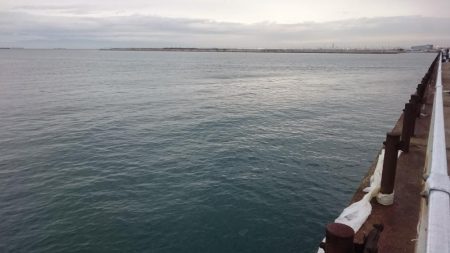 タチウオ泉大津エリアにプチ遠征