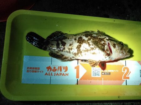 浜名湖 タケノコメバル ライトゲーム