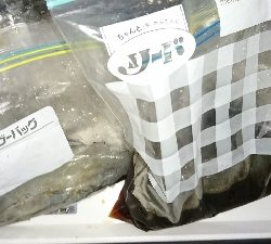 エギング釣行その29