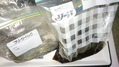 エギング釣行その29