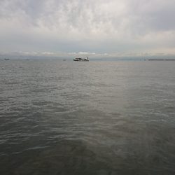 ポートアイランド