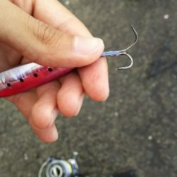 ショアジギング