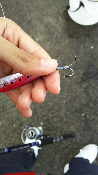 ショアジギング