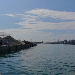 ちょい投げ、サビキ釣り